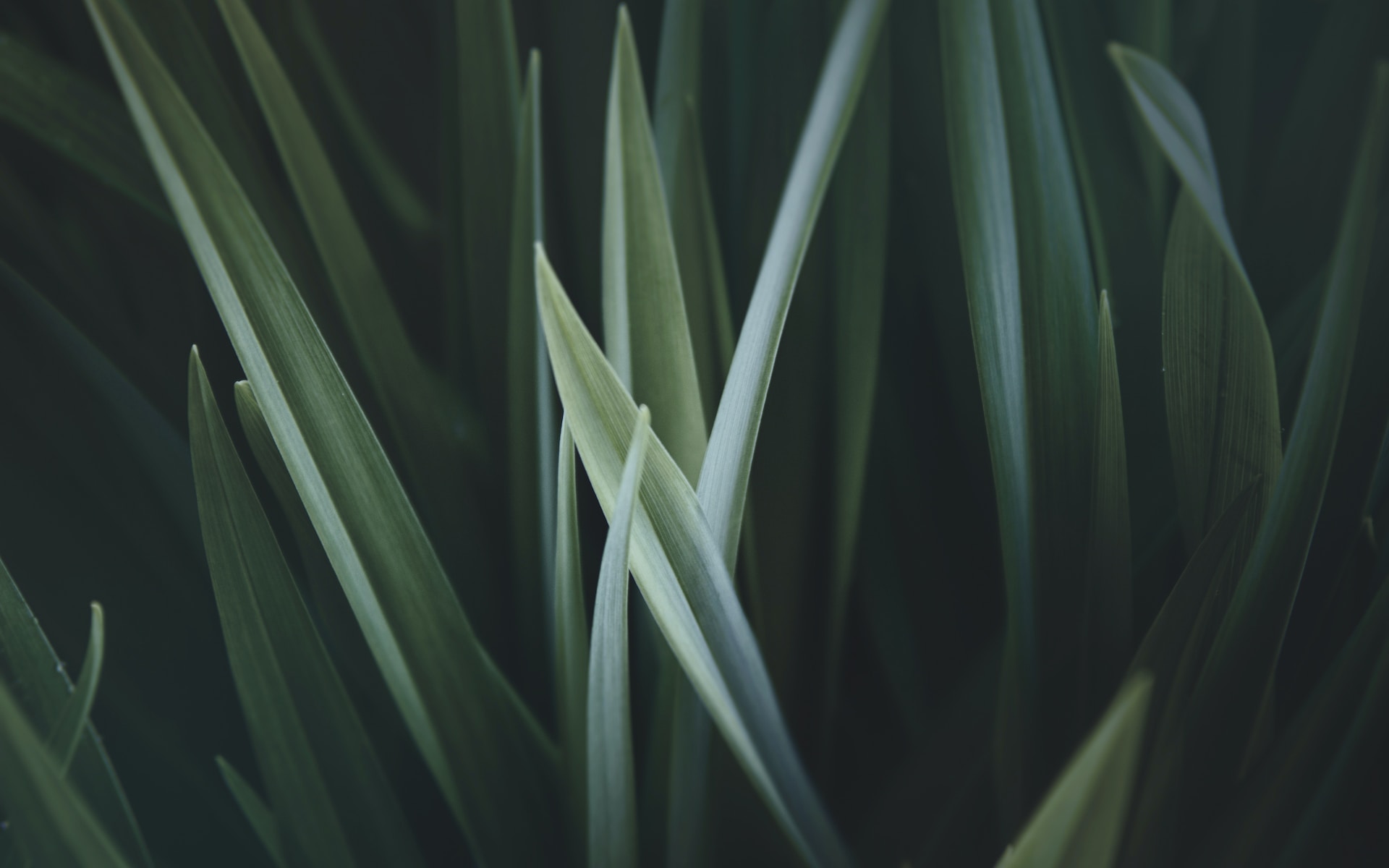 test3